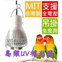 鸚鵡(禽鳥)正確LED補光燈使用概念 - VITAgri版權所有,禁止轉載