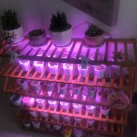 為什麼要在LED植物燈中添加括UV-A ?